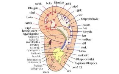 Fülakupunktúra: A test és lélek harmonizáló terápiája Érden