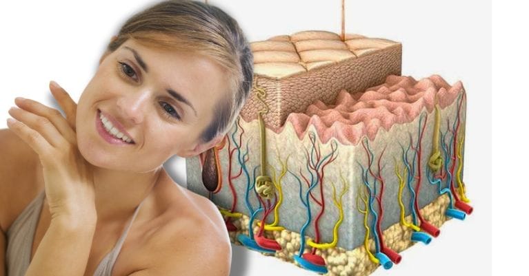 A bőr barrier funkciójának védelme: SQT biomikrotűs kezelés Érden